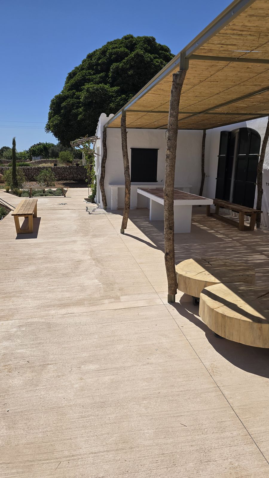 Pérgola Rústica de Madera de Ullastre y Metal con Cañizo - imagen 6