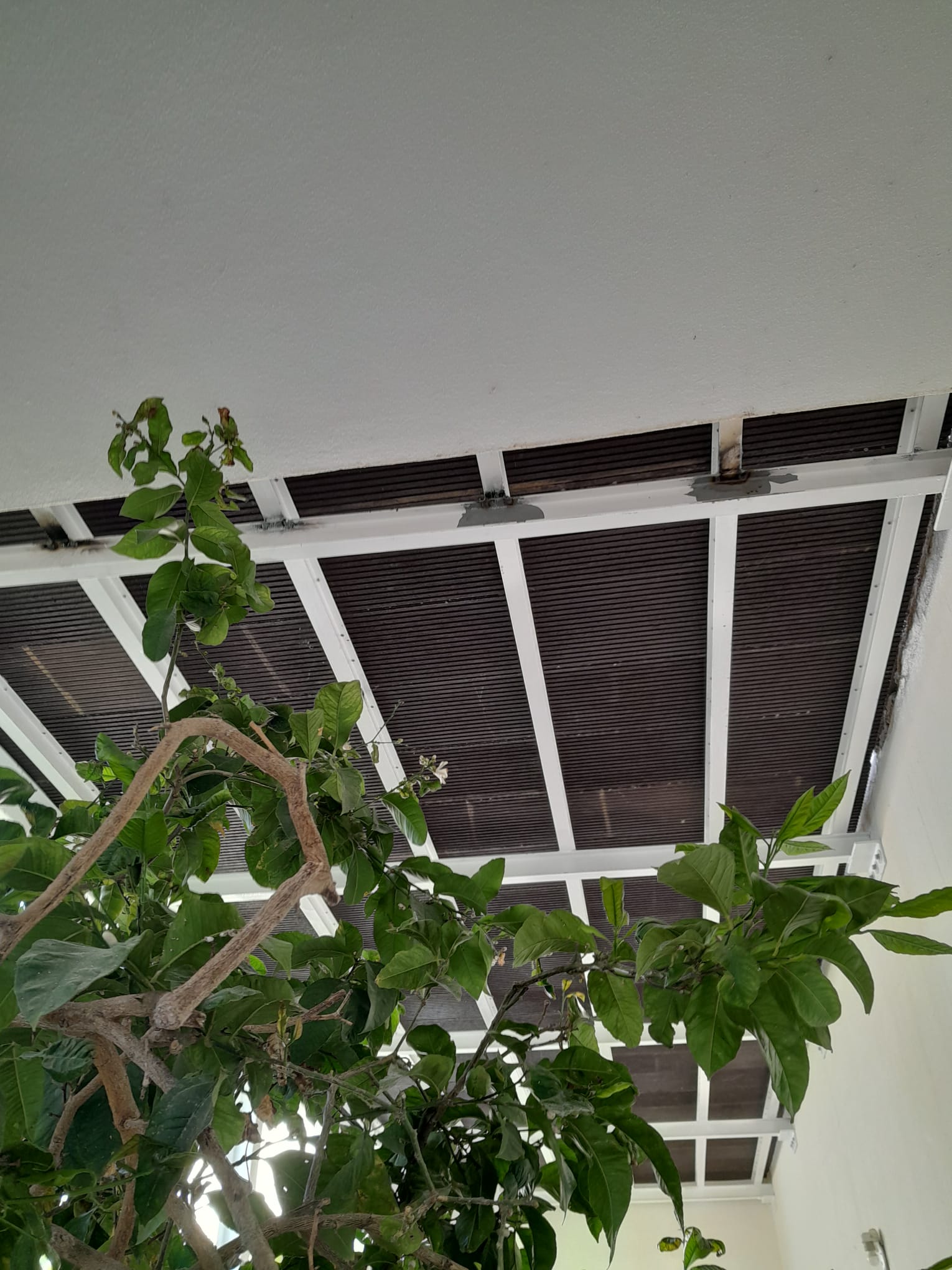 Terraza Disenada Por Ham en Menorca